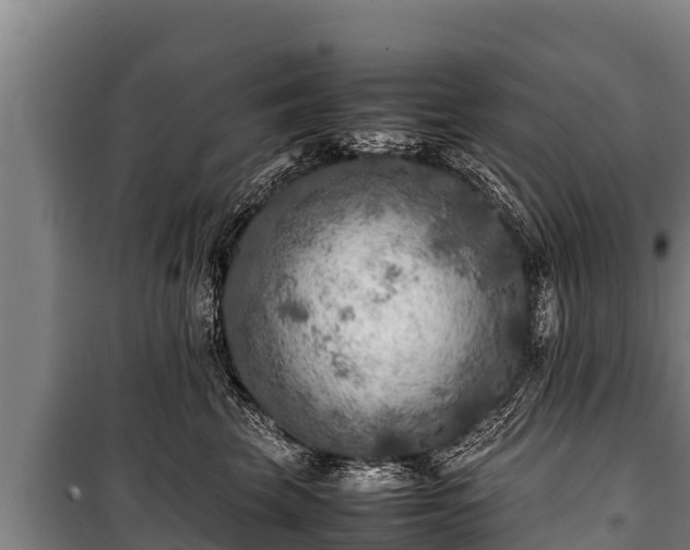 X0000100850569200806271138