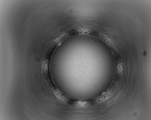 X0000100850570200806271138