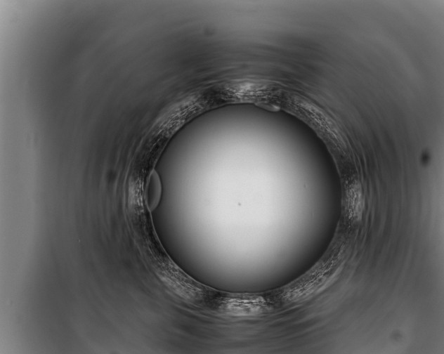 X0000100850571200806271138