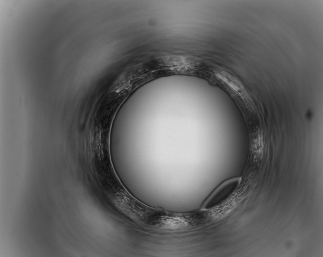 X0000100850572200806271138