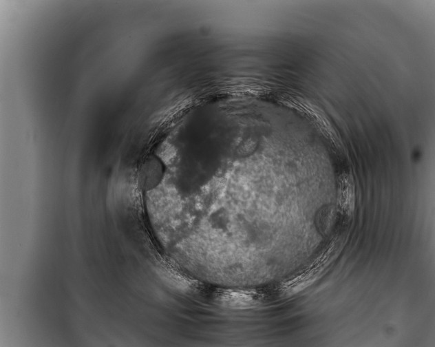 X0000100850573200806271138