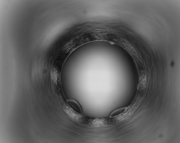 X0000100850574200806271138