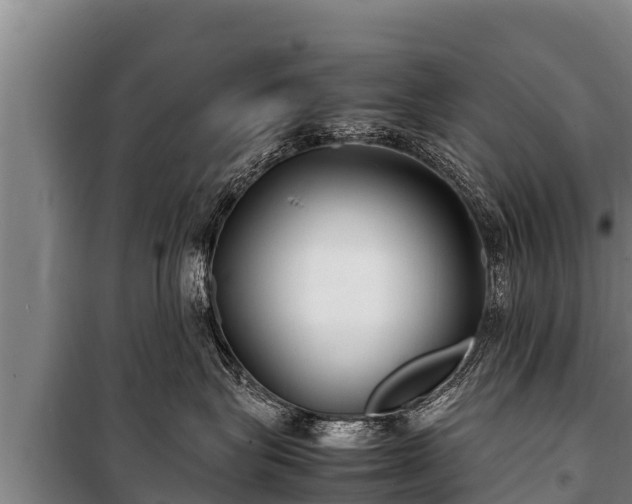 X0000100850575200806271138