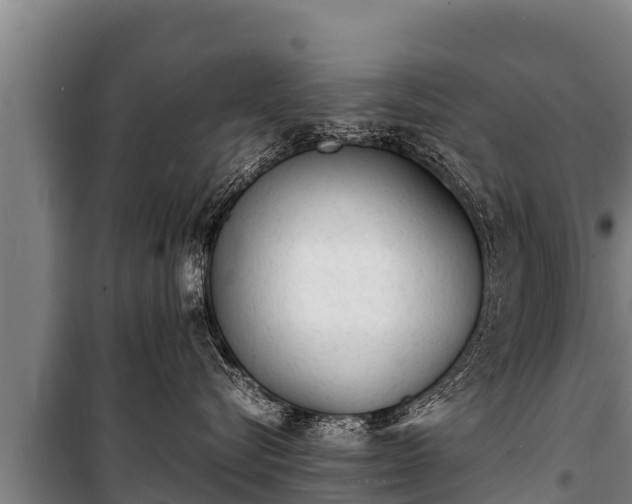 X0000100850576200806271138