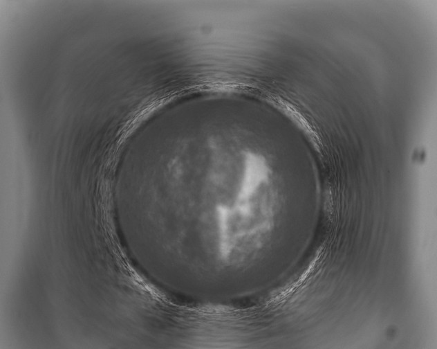 X0000100850577200806271137