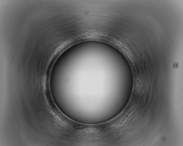 X0000100850578200806271137