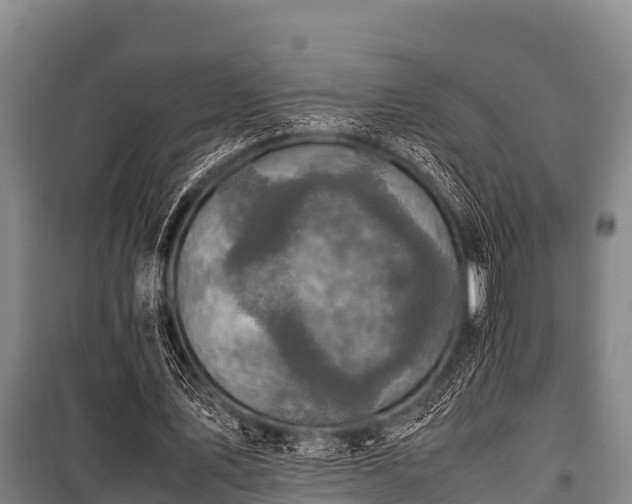 X0000100850579200806271137