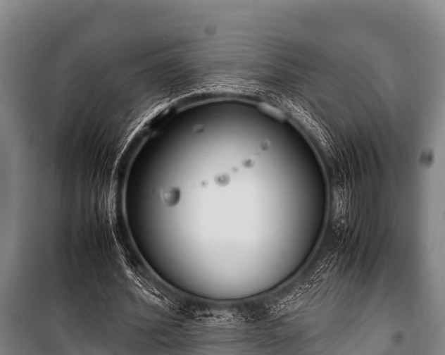 X0000100850580200806271137