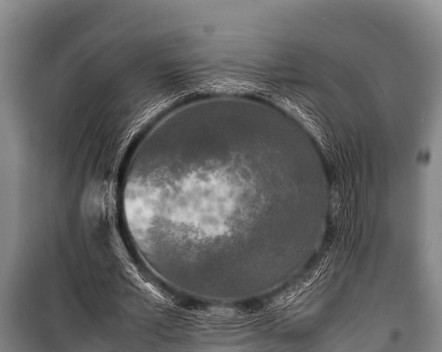 X0000100850581200806271137