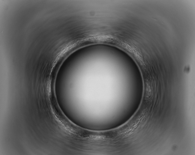 X0000100850582200806271137