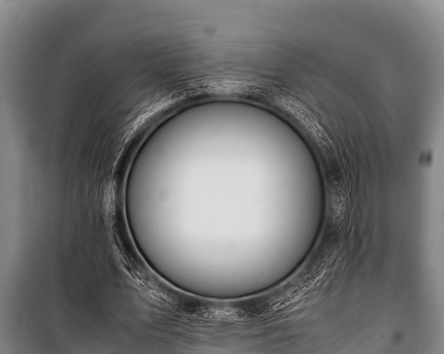 X0000100850583200806271137