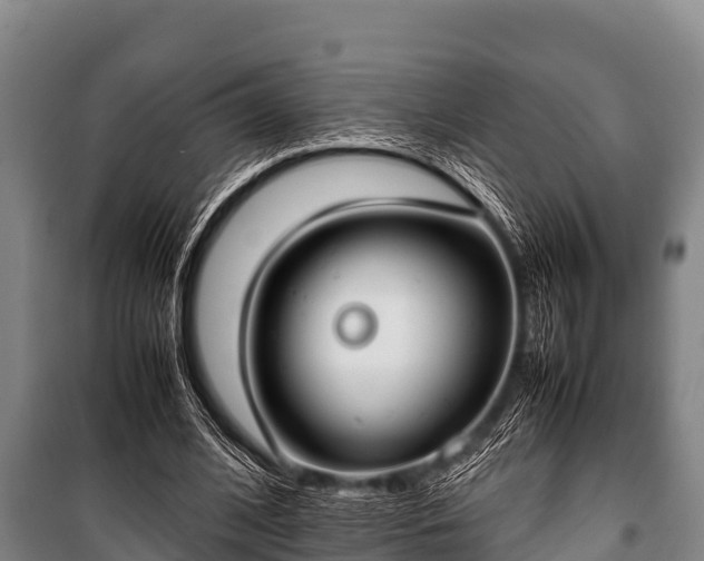 X0000100850584200806271137