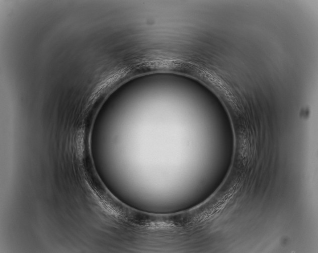 X0000100850586200806271137