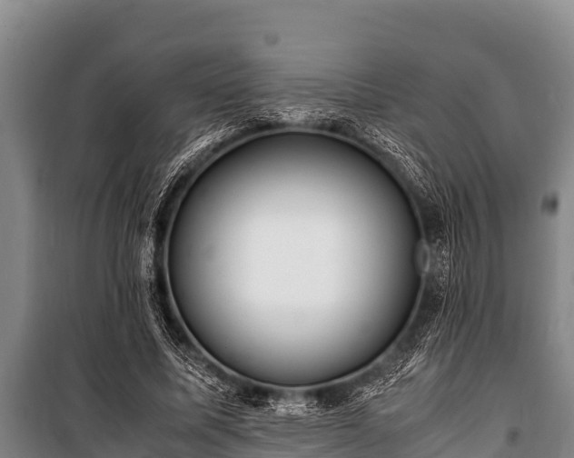 X0000100850587200806271137