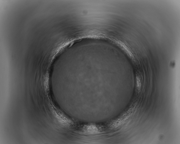 X0000100850588200806271137