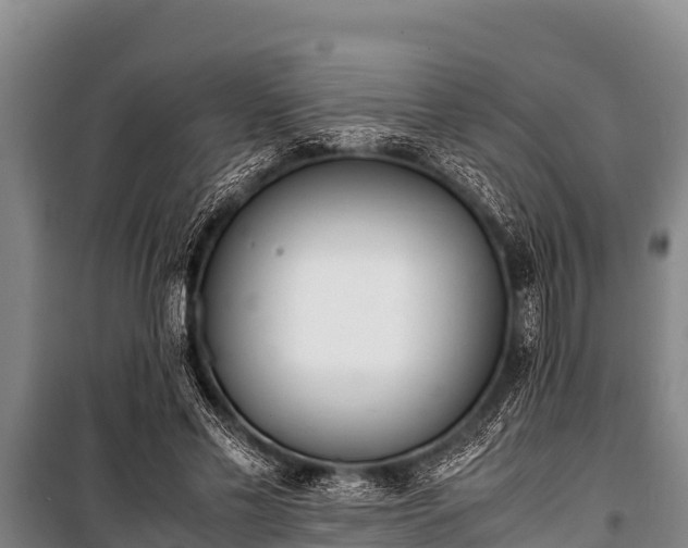 X0000100850589200806271137