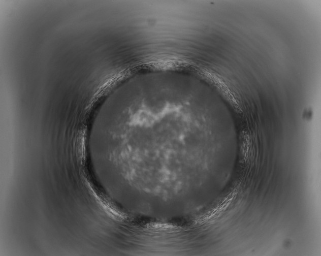 X0000100850590200806271137