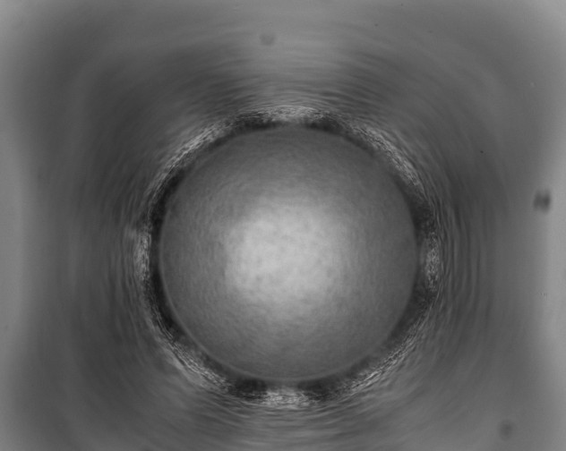 X0000100850591200806271137