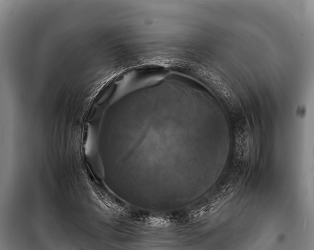 X0000100850592200806271137