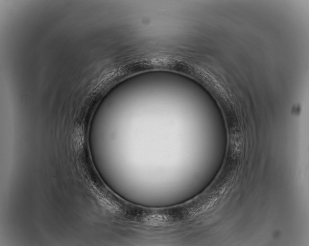 X0000100850593200806271137