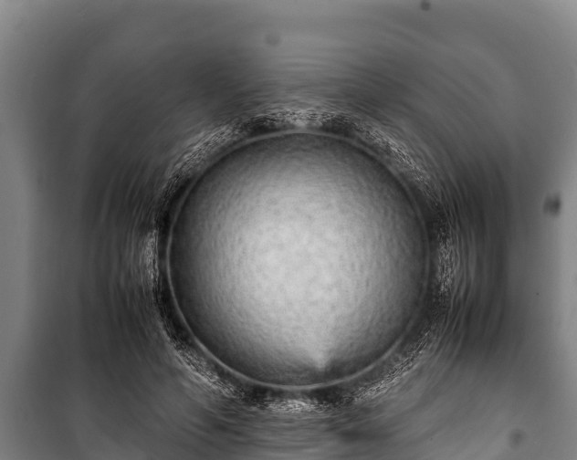 X0000100850594200806271137