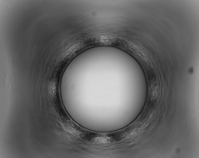 X0000100850595200806271137