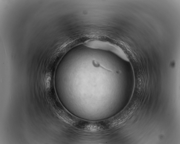 X0000100850596200806271137