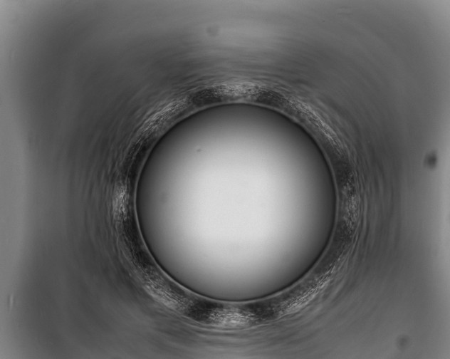 X0000100850597200806271137