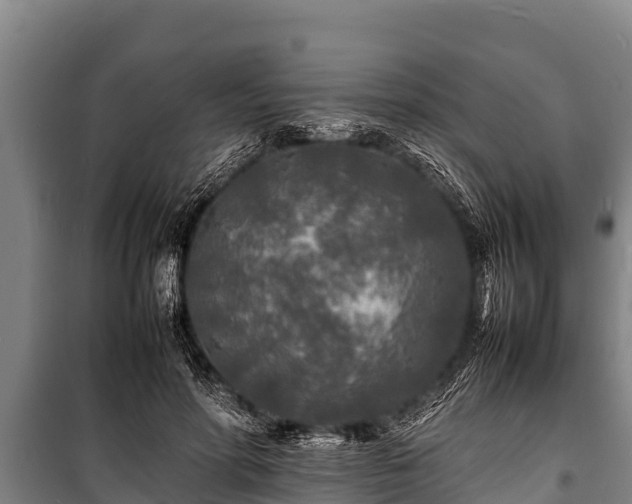 X0000100850598200806271137