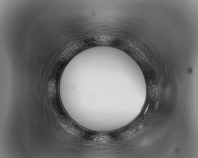 X0000100850599200806271137