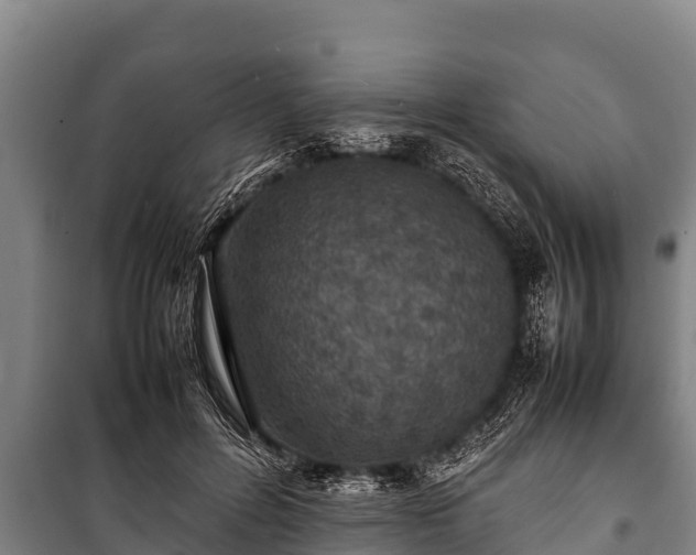 X0000100850600200806271137