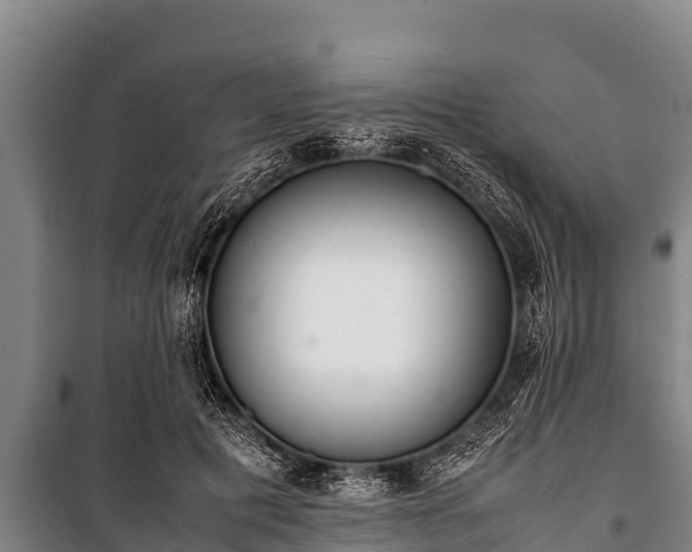 X0000100850601200806271137