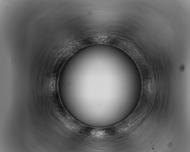 X0000100850602200806271137