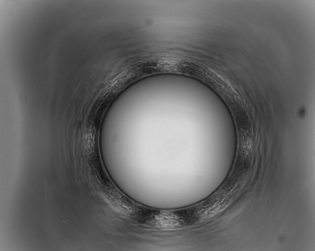 X0000100850603200806271137