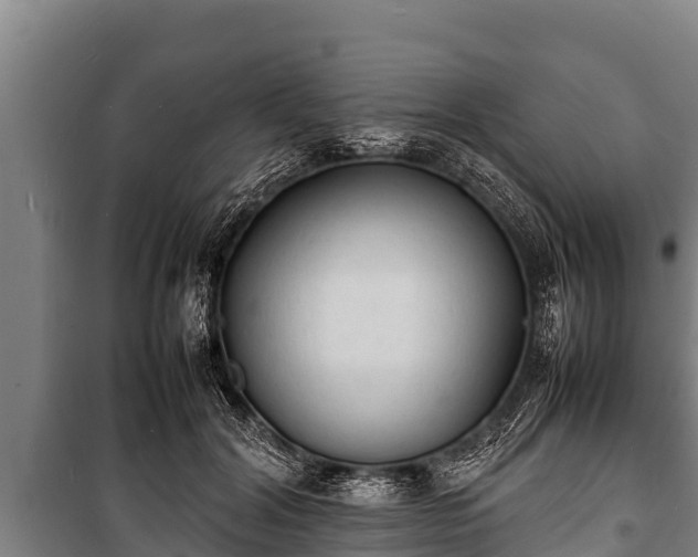 X0000100850604200806271137