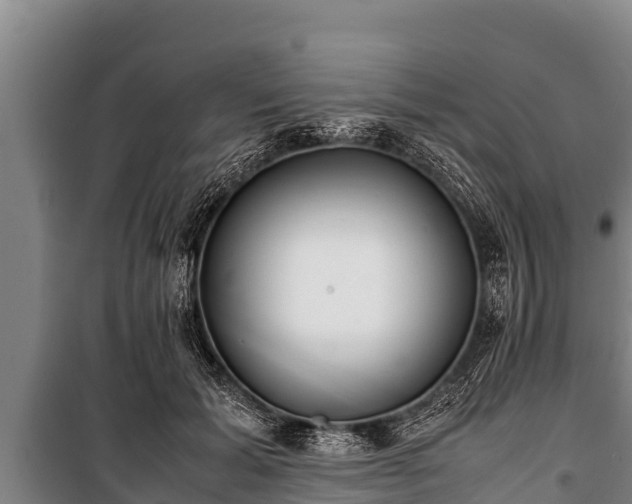 X0000100850605200806271137