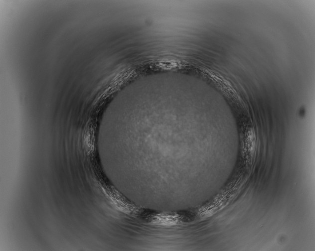 X0000100850606200806271137