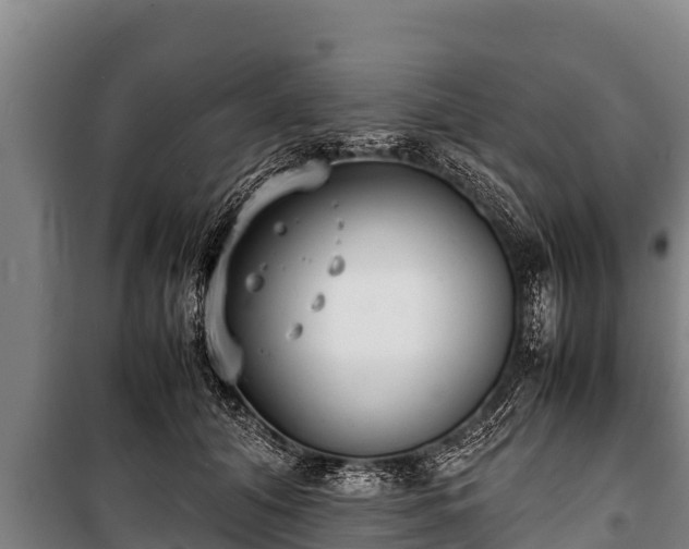 X0000100850608200806271137