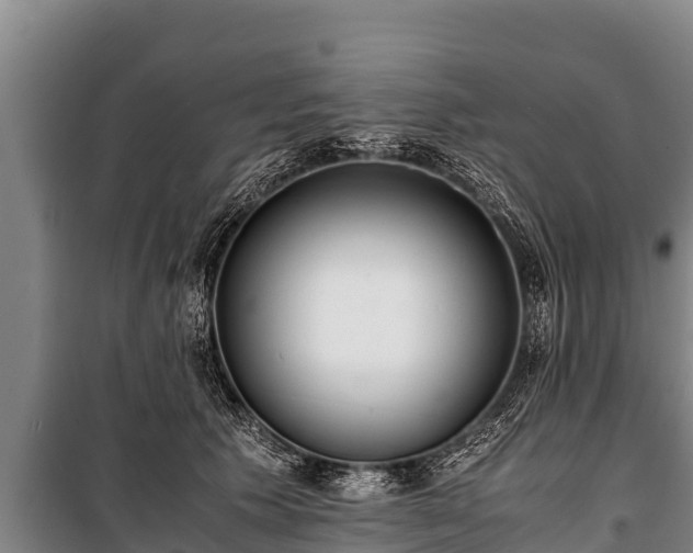 X0000100850609200806271137