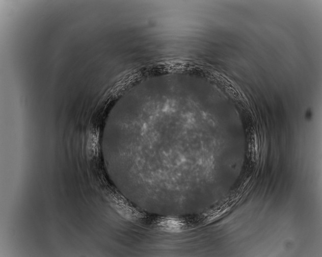 X0000100850610200806271137