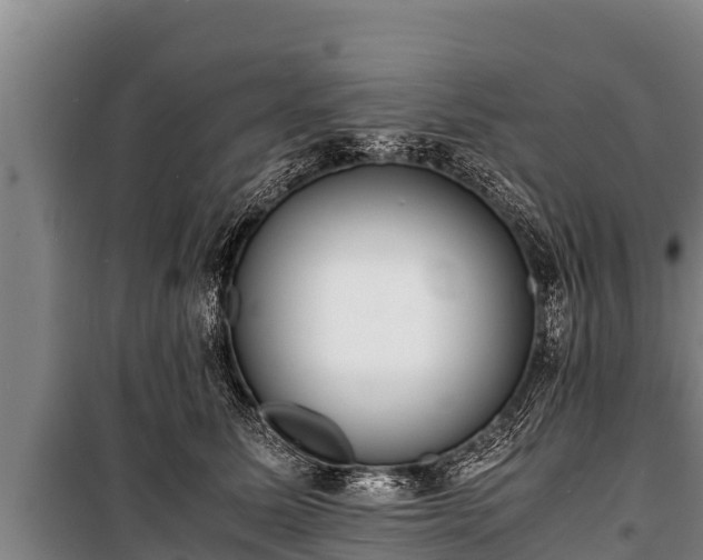 X0000100850611200806271137