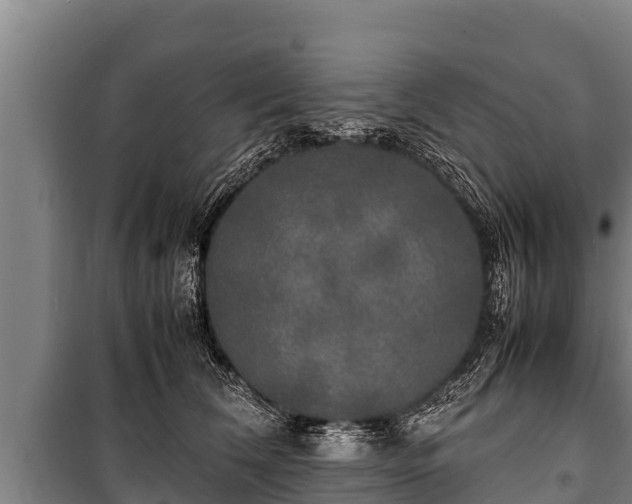 X0000100850612200806271137