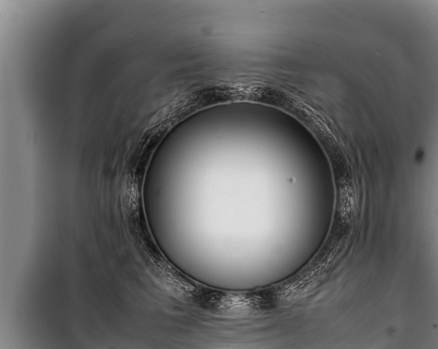 X0000100850613200806271137