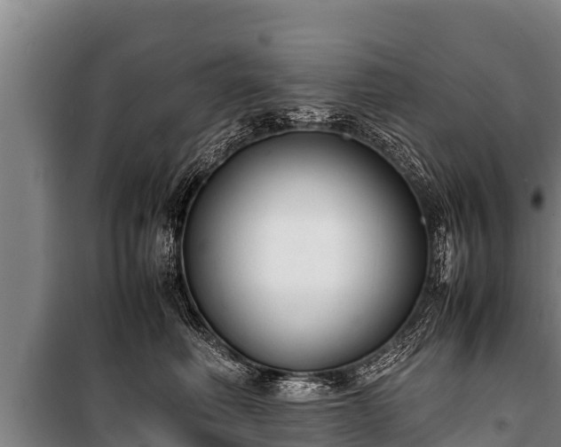 X0000100850614200806271137