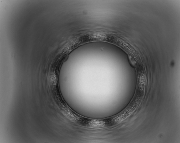 X0000100850617200806271137