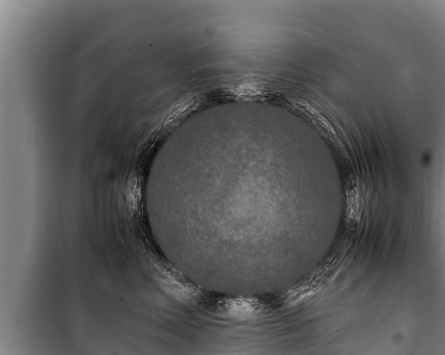 X0000100850618200806271137