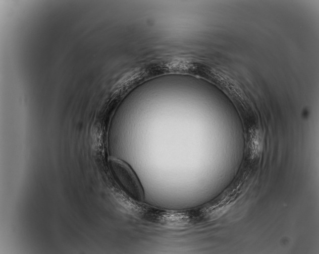 X0000100850619200806271137