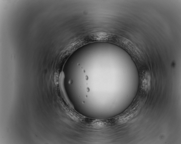 X0000100850620200806271137