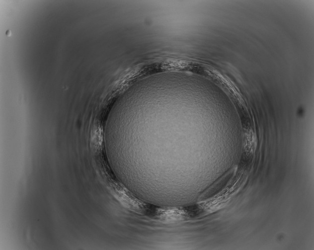 X0000100850621200806271137