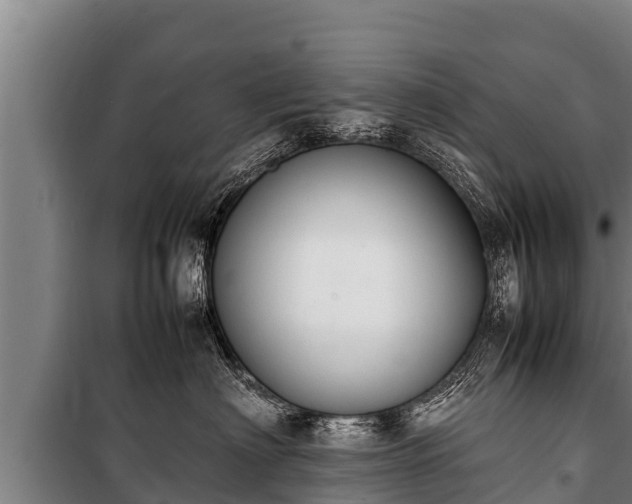 X0000100850622200806271137